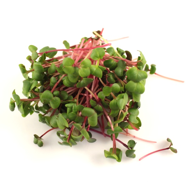 Reďkovka s červenou stonkou na mikrozeleninu 100 g